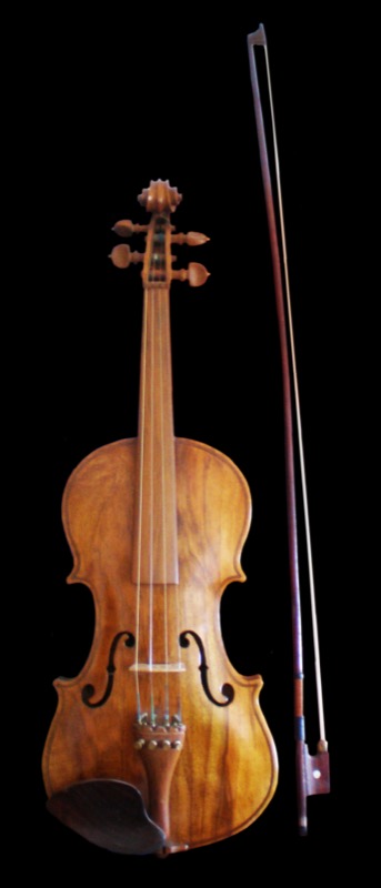 Violino elettr.