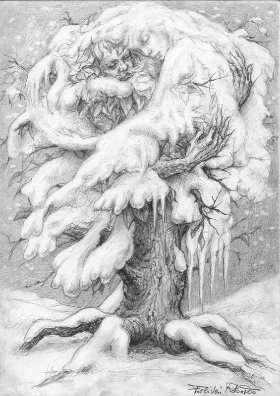 L'albero e la neve